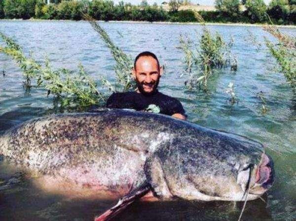 Les changements dans l'aquaculture ont des consommateurs qui débarquent des p...